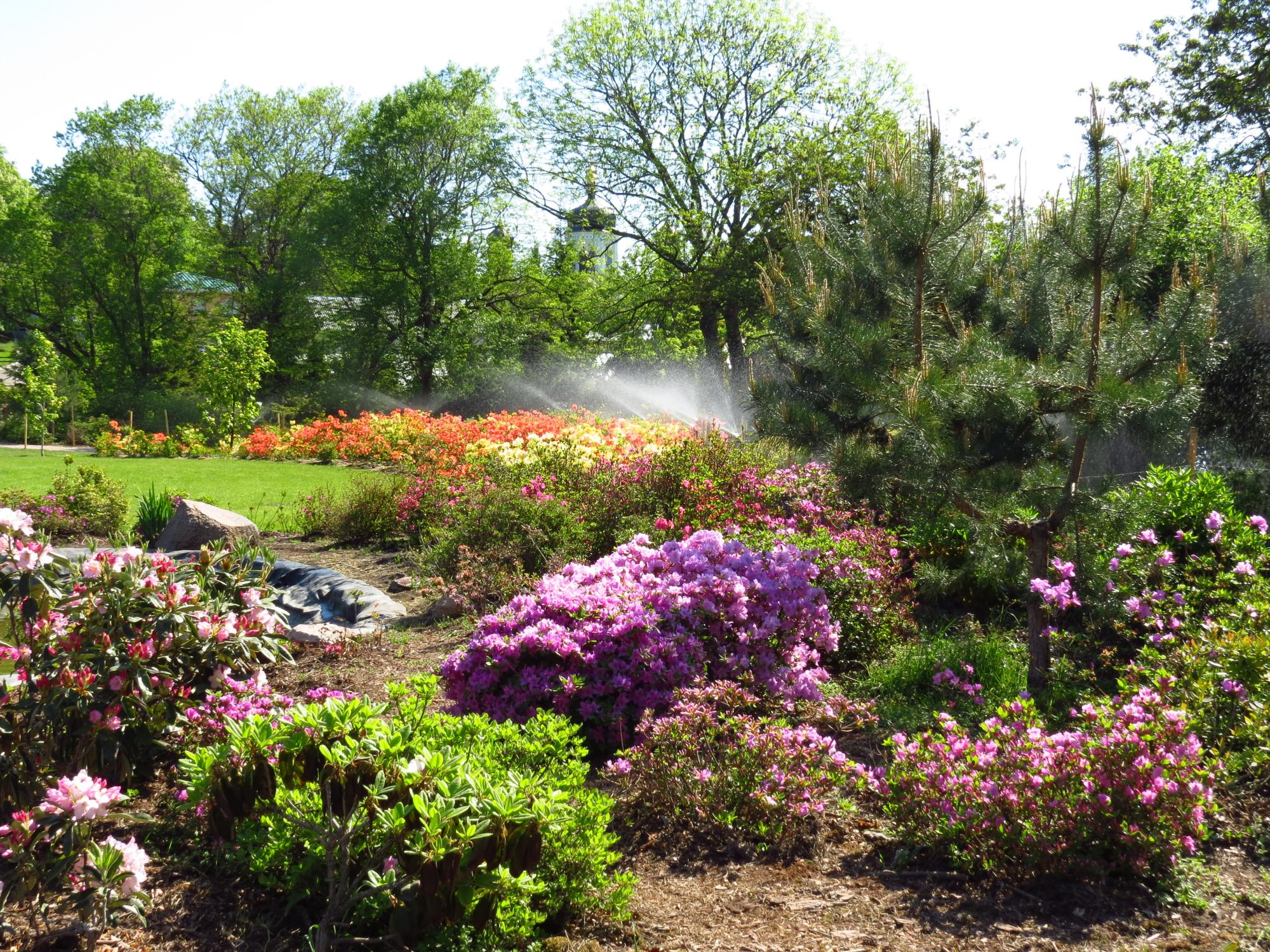 Рай на земле. 5 самых крутых ботанических садов Украины